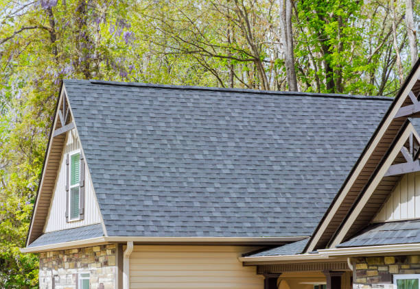 Best Gutter Installation and Repair  in Senath, MO