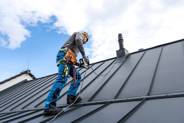 Best Roof Maintenance and Cleaning  in Senath, MO