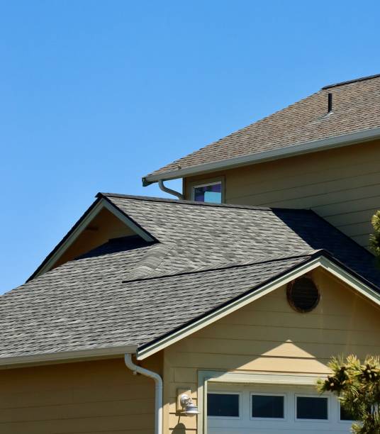 Best Solar Panel Roofing Installation  in Senath, MO